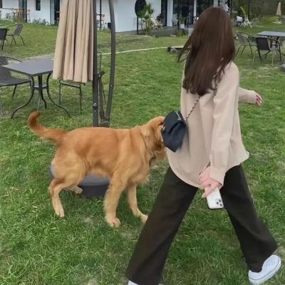 站起来的女孩